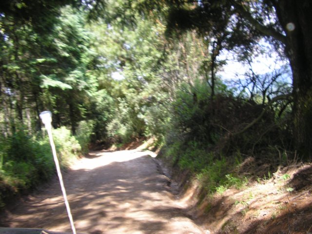 p1010453.jpg