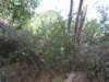 p1010454_small.jpg