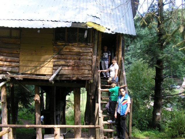 p1010473.jpg