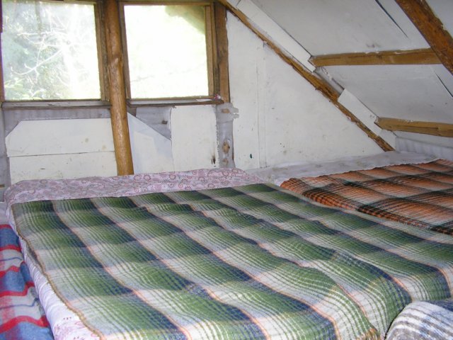 p1010481.jpg