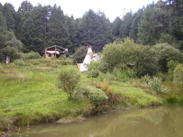 p1010501.jpg