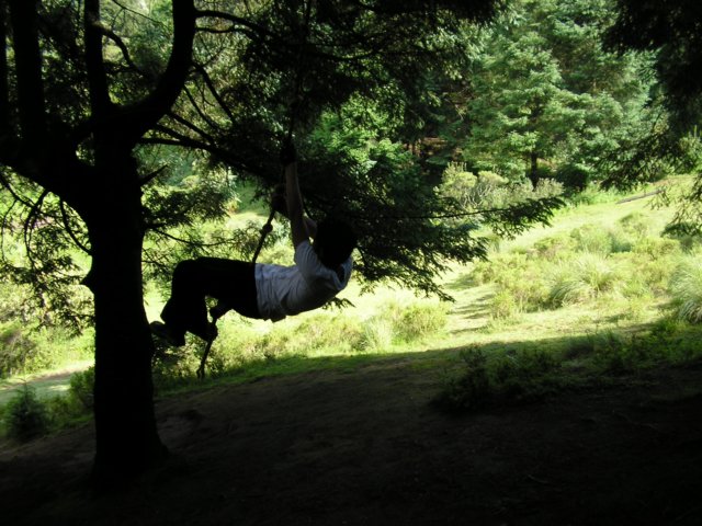 p1010515.jpg