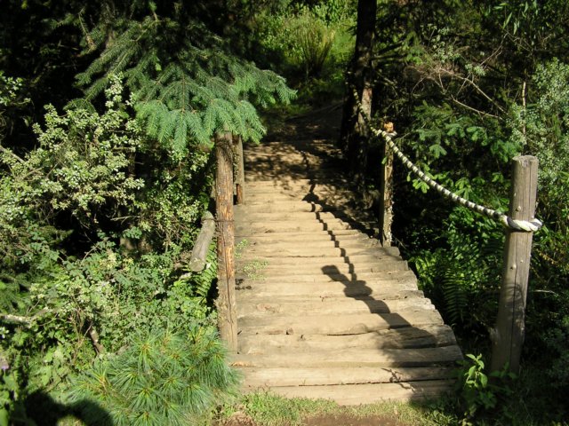 p1010520.jpg