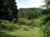 p1010521_small.jpg