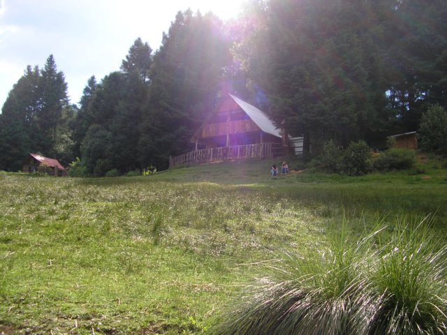 p1010522.jpg