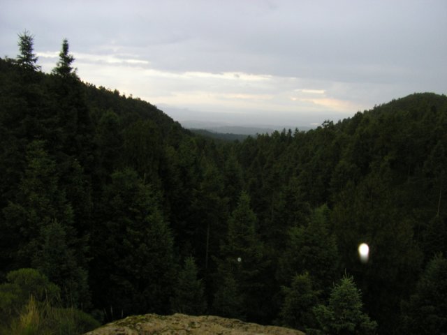 p1010549.jpg