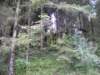 p1010592_small.jpg